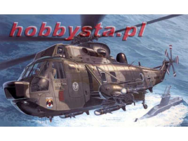 Seaking Mk. 41 & Skua missiles - zdjęcie 1 Seaking Mk. 41 & Skua missiles - zdjęcie 1