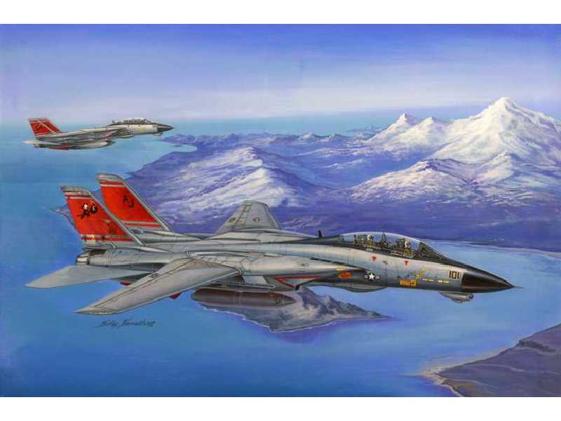 F-14D Super Tomcat - zdjęcie 1 F-14D Super Tomcat - zdjęcie 1