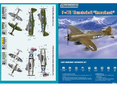 P-47D Thunderbolt Razorback - zdjęcie 5