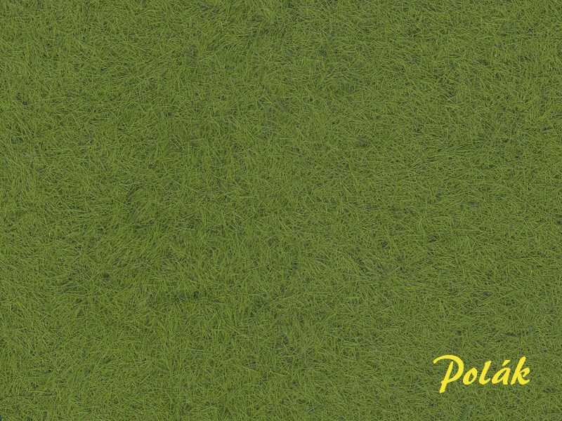 Trawa statyczna zielona - 2 mm - zdjęcie 1 Trawa statyczna zielona - 2 mm - zdjęcie 1