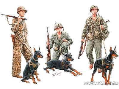 Psy w służbie US Marine Corps - II W.Ś. - zdjęcie 1