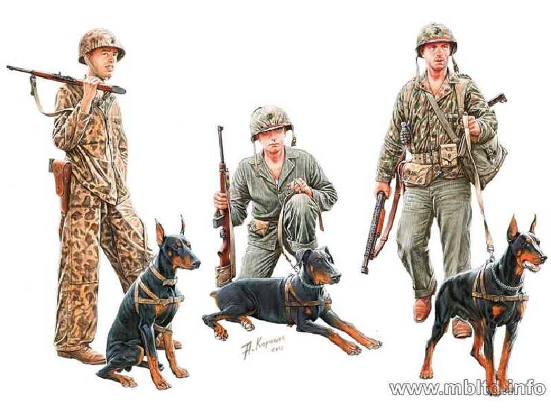 Psy w służbie US Marine Corps - II W.Ś. - zdjęcie 1