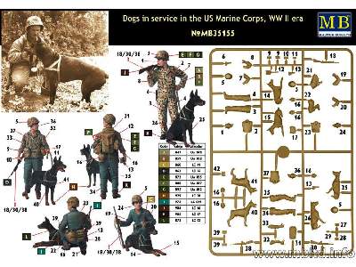 Psy w służbie US Marine Corps - II W.Ś. - zdjęcie 2