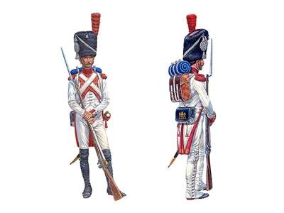 Holenderski Grenadier Gwardii Cesarskiej - Wojny Napoleońskie - zdjęcie 3