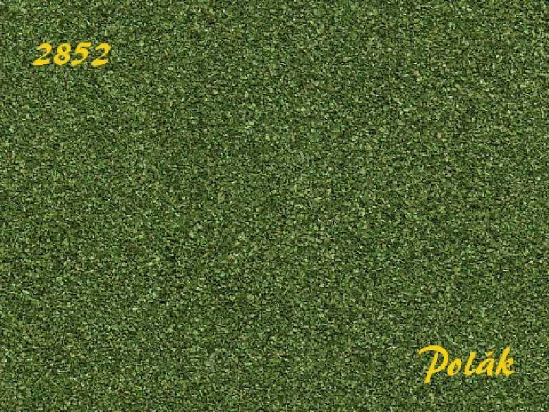 NATUREX F średni - zielony buk - zdjęcie 1 NATUREX F średni - zielony buk - zdjęcie 1