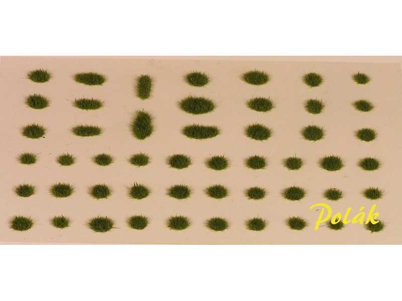 Kępki trawy - wariant A3 - wys. 2 mm - zdjęcie 1 Kępki trawy - wariant A3 - wys. 2 mm - zdjęcie 1