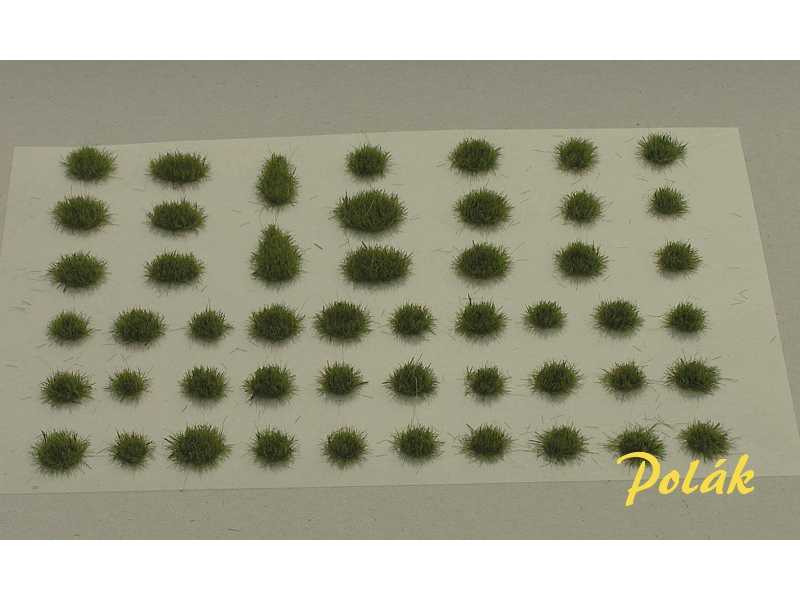 Kępki trawy - wariant B3 - wys. 3 mm - zdjęcie 1 Kępki trawy - wariant B3 - wys. 3 mm - zdjęcie 1