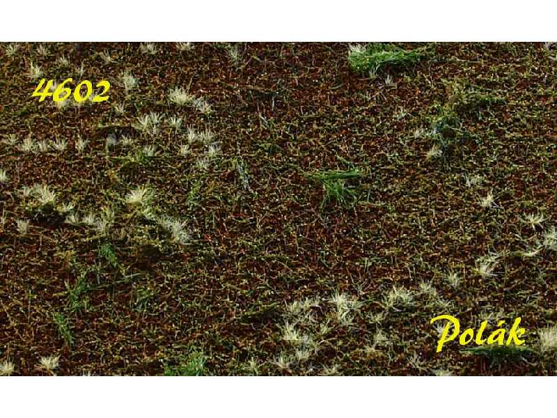 Łąka - typ A wariant B - zdjęcie 1 Łąka - typ A wariant B - zdjęcie 1