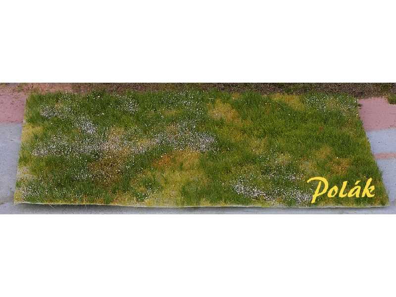 Górskie pastwisko - wariant A - zdjęcie 1 Górskie pastwisko - wariant A - zdjęcie 1