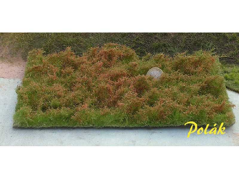 Dzikie krzewy - maliny - zdjęcie 1 Dzikie krzewy - maliny - zdjęcie 1