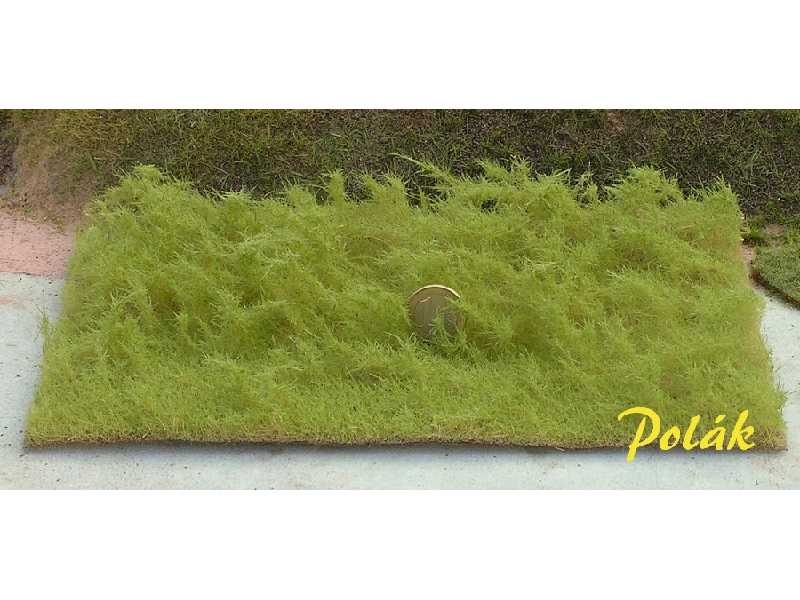 Wysoka trawa - jasnozielona - zdjęcie 1