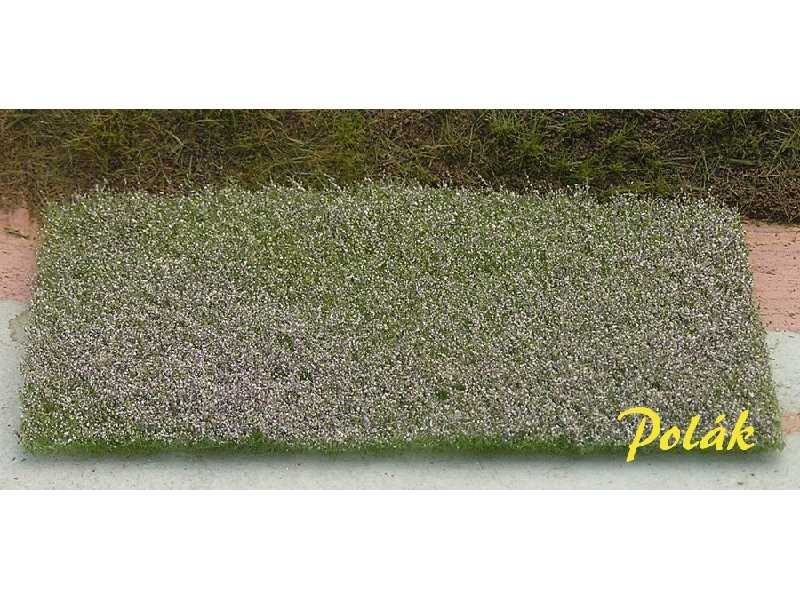 Łąka kwiatowa - białofioletowa - zdjęcie 1