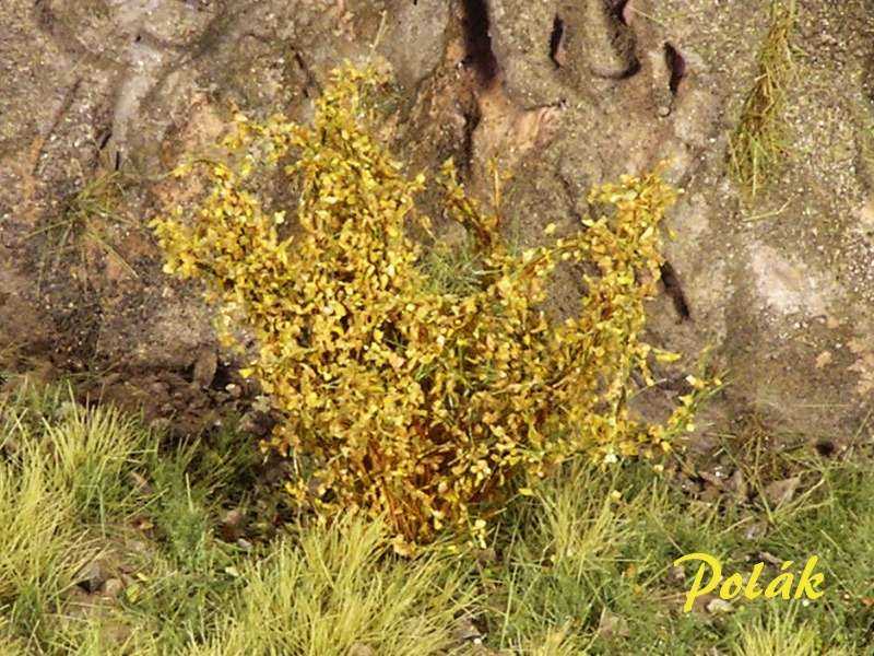 Wysokie krzewy - drobne liście - ochra - zdjęcie 1