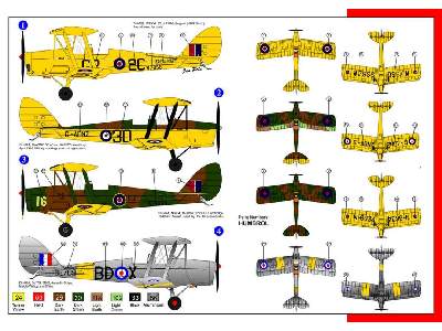 De Havilland D82A - Tiger Moth - RAF - zdjęcie 2