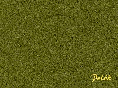 PUREX drobny - zielona paproć - zdjęcie 1