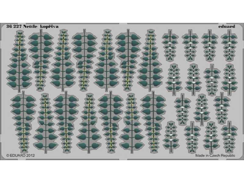 Nettle - colour 1/35 - zdjęcie 1 Nettle - colour 1/35 - zdjęcie 1