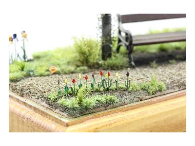 PLANTS I.  Temperate zone / garden 1/35 - zdjęcie 2