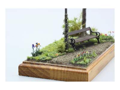 PLANTS I.  Temperate zone / garden 1/35 - zdjęcie 4