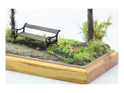 PLANTS I.  Temperate zone / garden 1/35 - zdjęcie 5