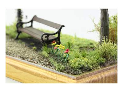 PLANTS I.  Temperate zone / garden 1/35 - zdjęcie 6