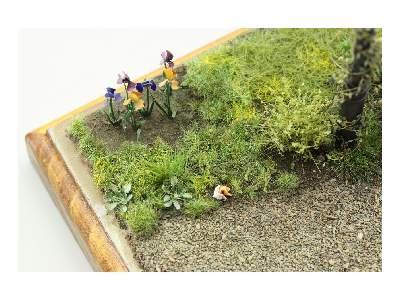 PLANTS I.  Temperate zone / garden 1/35 - zdjęcie 8