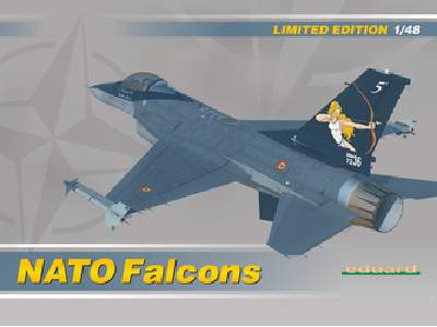 NATO Falcons 1/48 - zdjęcie 1