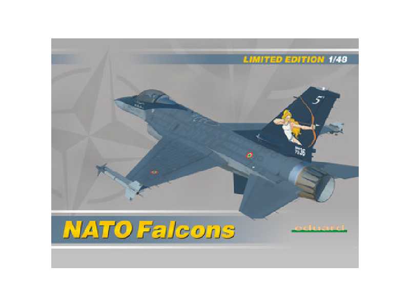 NATO Falcons 1/48 - zdjęcie 1