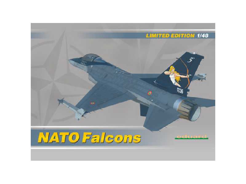 NATO Falcons 1/48 - zdjęcie 1 NATO Falcons 1/48 - zdjęcie 1