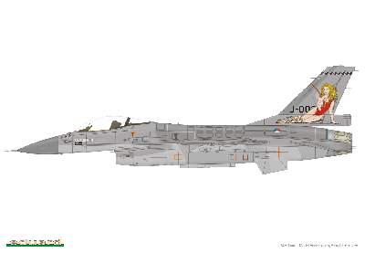 NATO Falcons 1/48 - zdjęcie 4