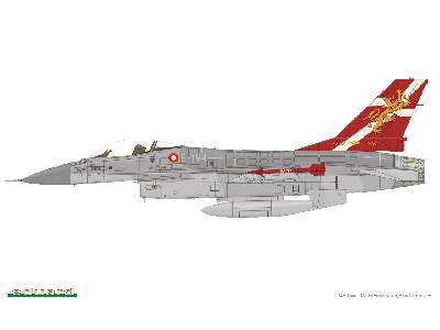 NATO Falcons 1/48 - zdjęcie 5