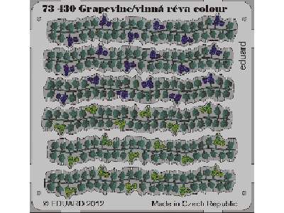 Grapevine colour 1/72 - zdjęcie 1