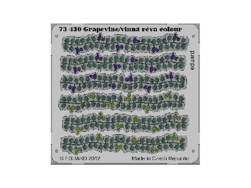 Grapevine colour 1/72 - zdjęcie 1