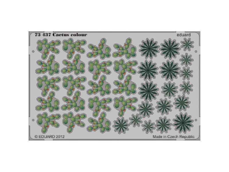 Cactus 1/72 - zdjęcie 1 Cactus 1/72 - zdjęcie 1