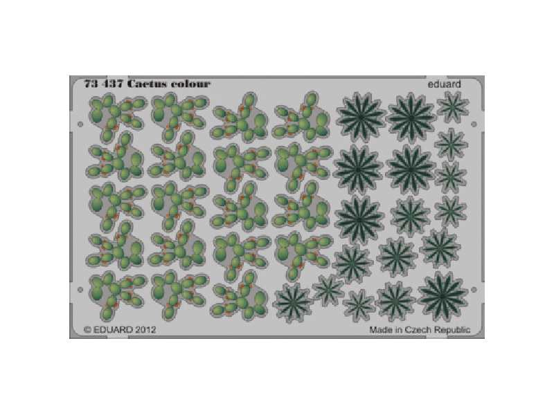 Cactus 1/72 - zdjęcie 1