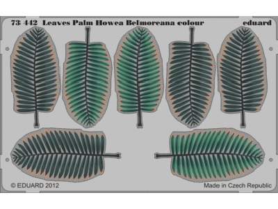 Leaves Palm Howea Belmoreana 1/72 - zdjęcie 1