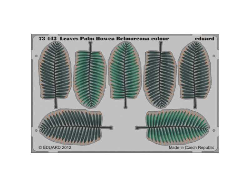 Leaves Palm Howea Belmoreana 1/72 - zdjęcie 1 Leaves Palm Howea Belmoreana 1/72 - zdjęcie 1