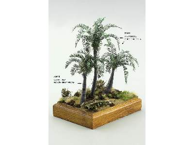 Leaves Palm Howea Belmoreana 1/72 - zdjęcie 2