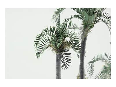 Leaves Palm Howea Belmoreana 1/72 - zdjęcie 3