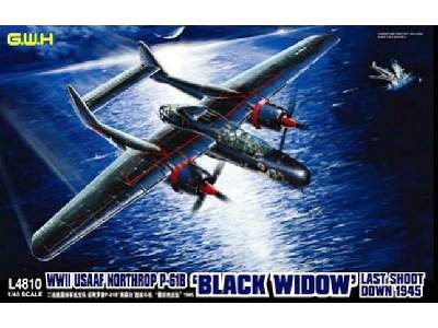 USAF Northrop P-61B Black Widow Last Shoot Down 1945 - zdjęcie 1