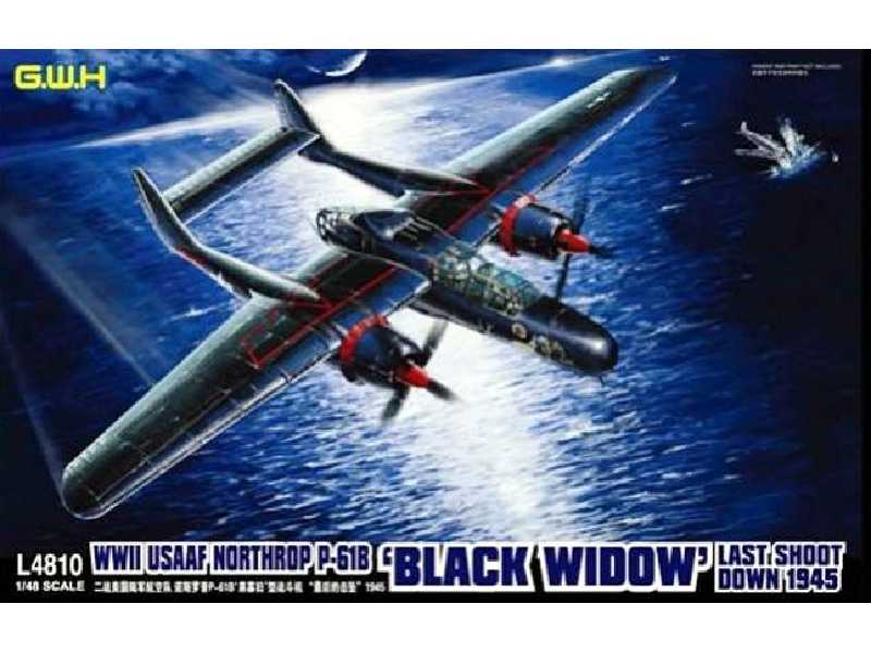 USAF Northrop P-61B Black Widow Last Shoot Down 1945 - zdjęcie 1 USAF Northrop P-61B Black Widow Last Shoot Down 1945 - zdjęcie 1