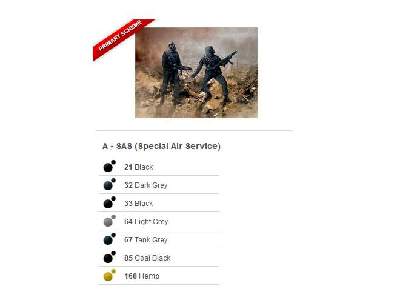 SAS (Special Air Service) - zdjęcie 3
