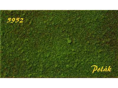 STRUKTURSTAT drobny - Zielona łąka - zdjęcie 1