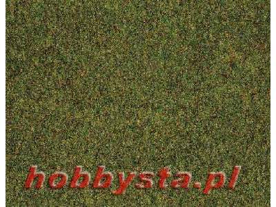 Mata ciemno-zielona - 40 x 29,5 cm - 2 sztuki - zdjęcie 1
