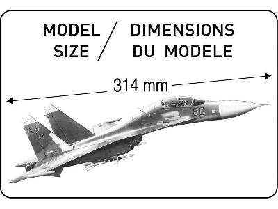 Suchoj Su-27UB - zdjęcie 3