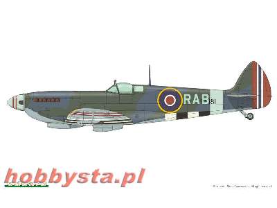 Spitfire Mk. IX  ROYAL CLASS 1/48 - zdjęcie 10