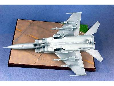 MiG-25 Foxbat - zdjęcie 12