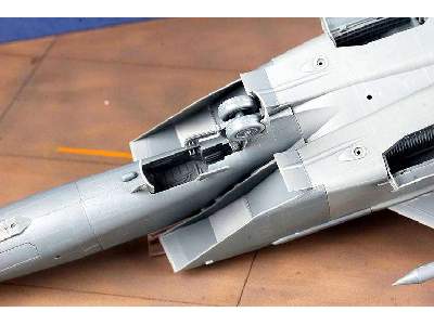 MiG-25 Foxbat - zdjęcie 29