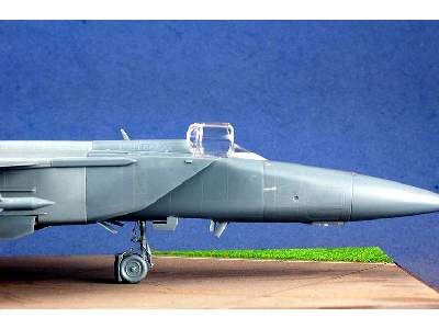MiG-25 Foxbat - zdjęcie 33