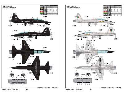 US Northrop T-38A Talon - zdjęcie 3