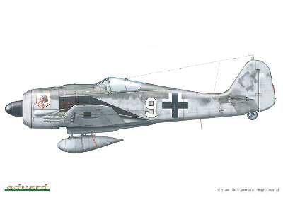 Fw 190A Nightfighter 1/48 - zdjęcie 2